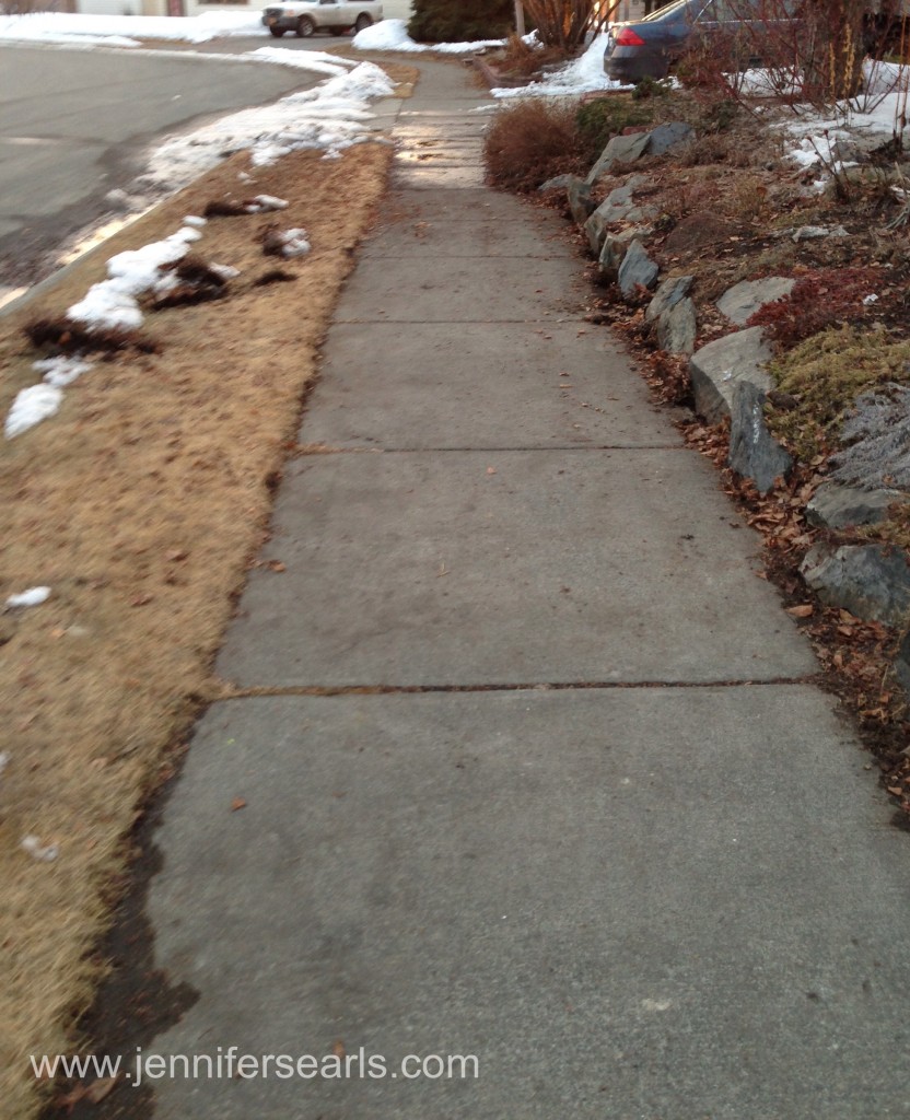 Dry Bare Sidewalk