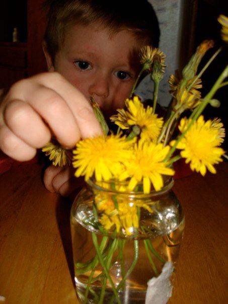 Dandelion Boquet