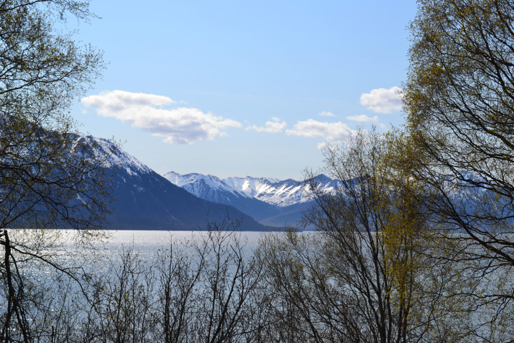 Turnagain Arm - May 2012