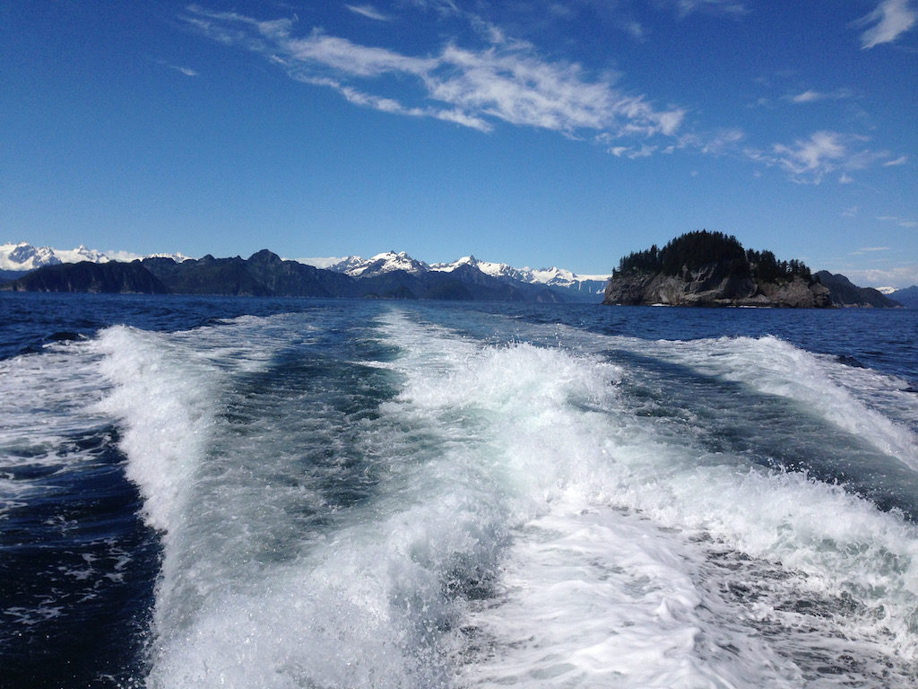 Major Marine Tours Prince William Sound 