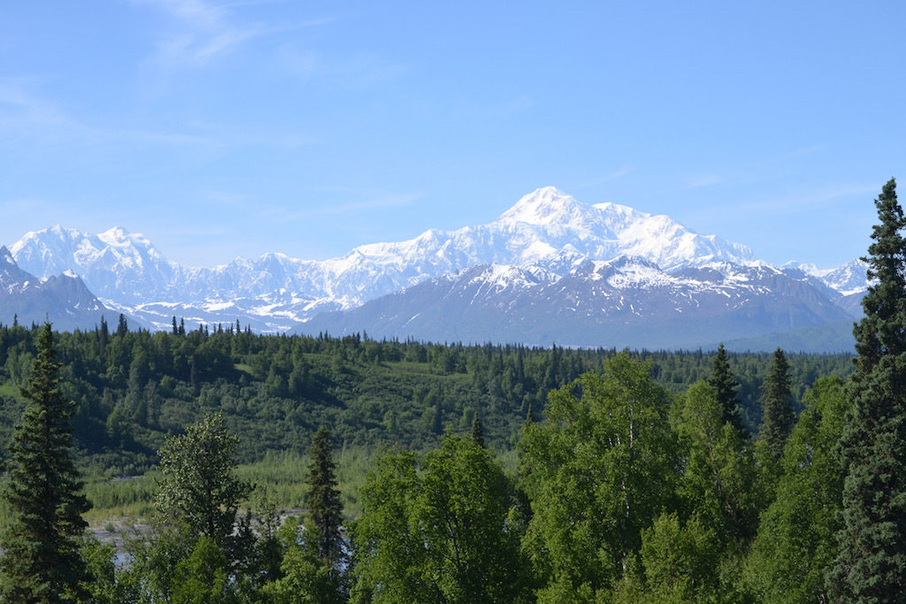 Denali View South