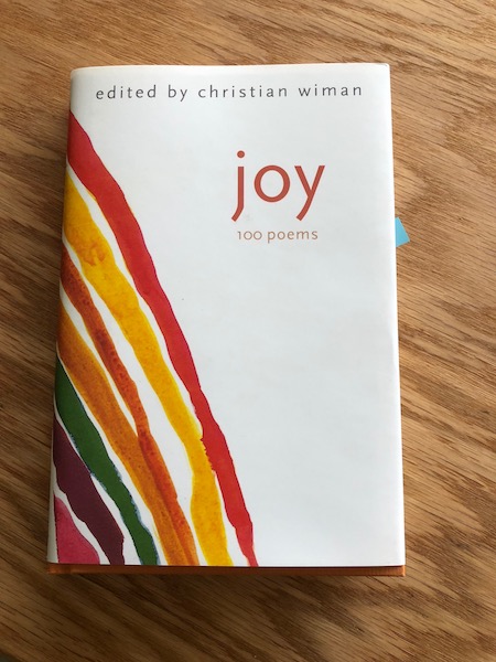 Joy - Christian Wiman Cover