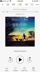 Where the Red Fern Grows - cover