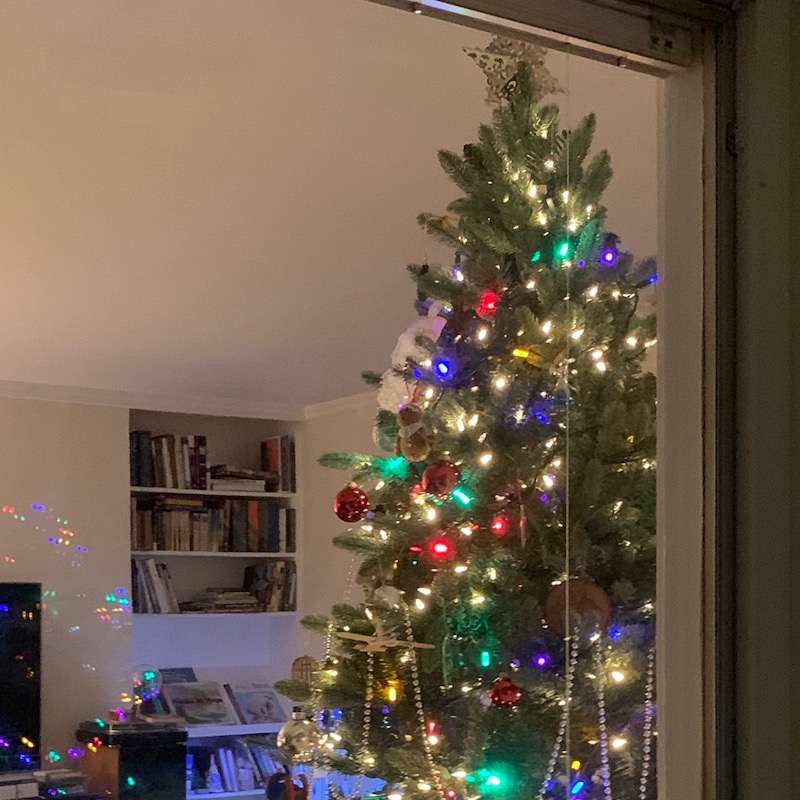 Christmas Tree in a window