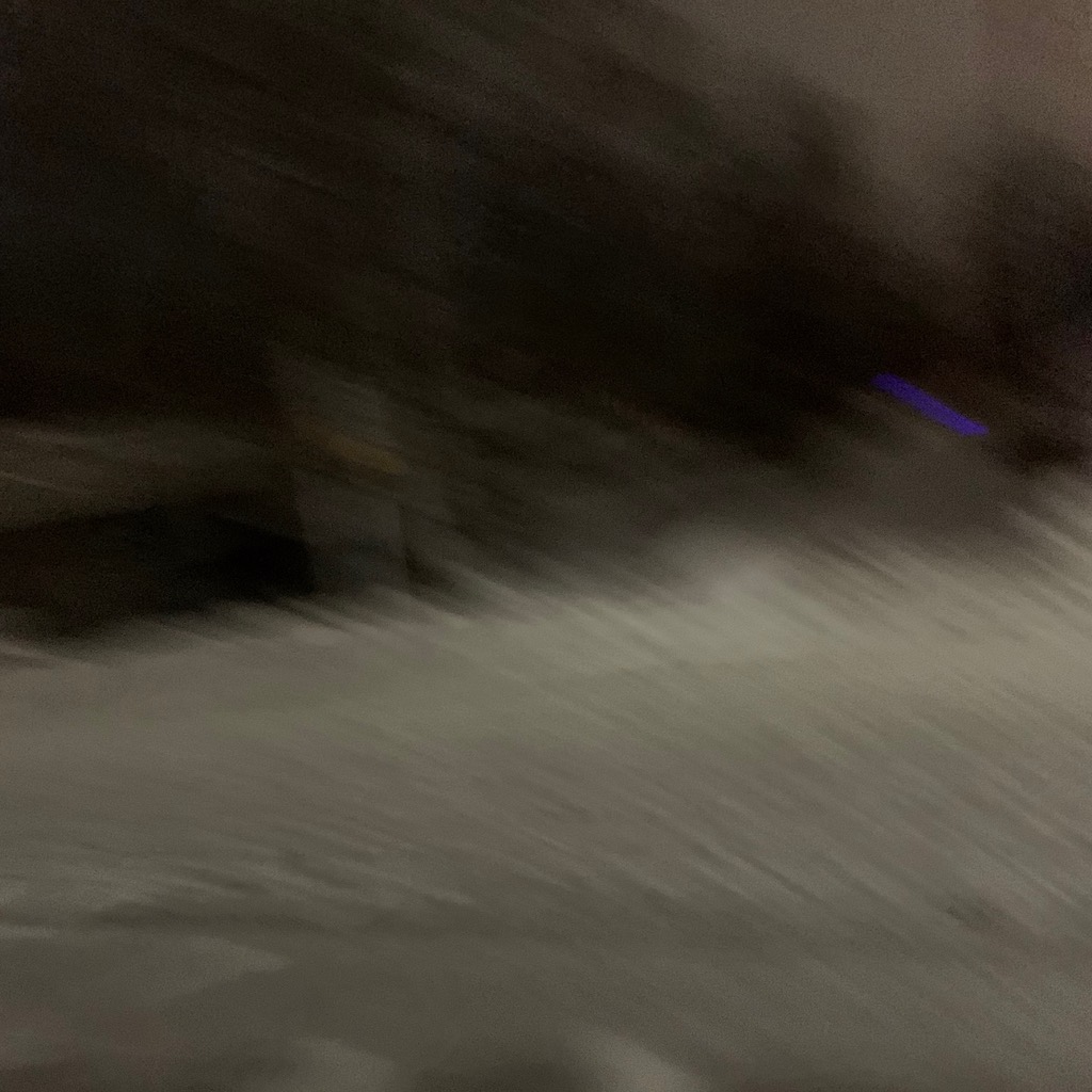 moose blur