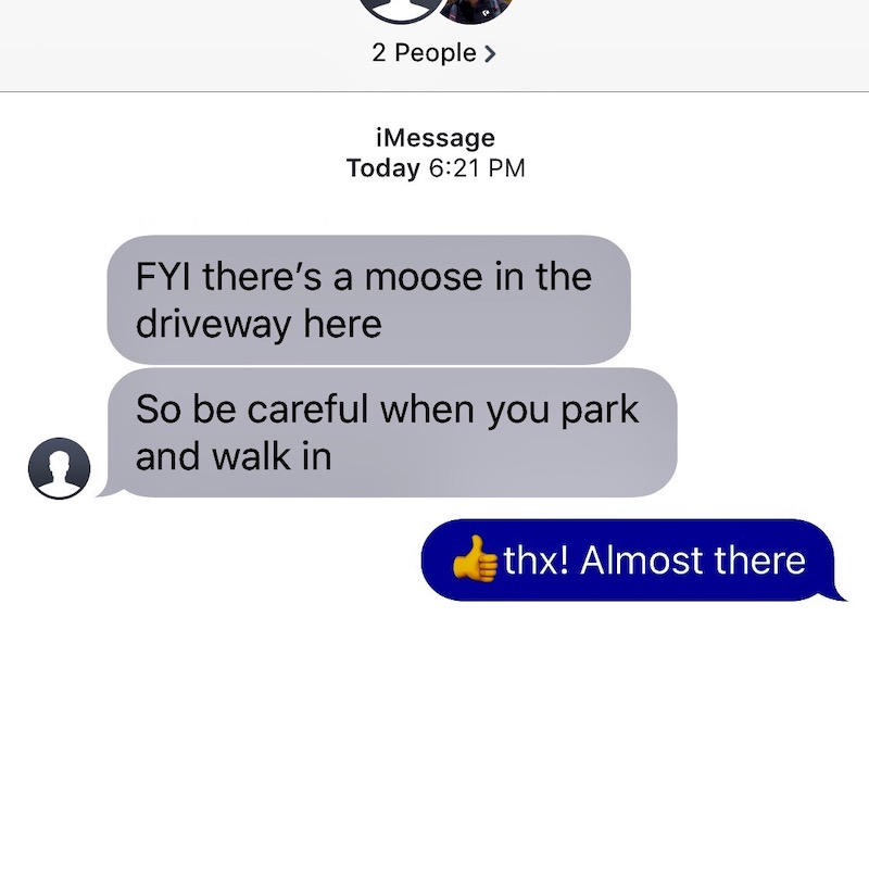moose in the driveway text
