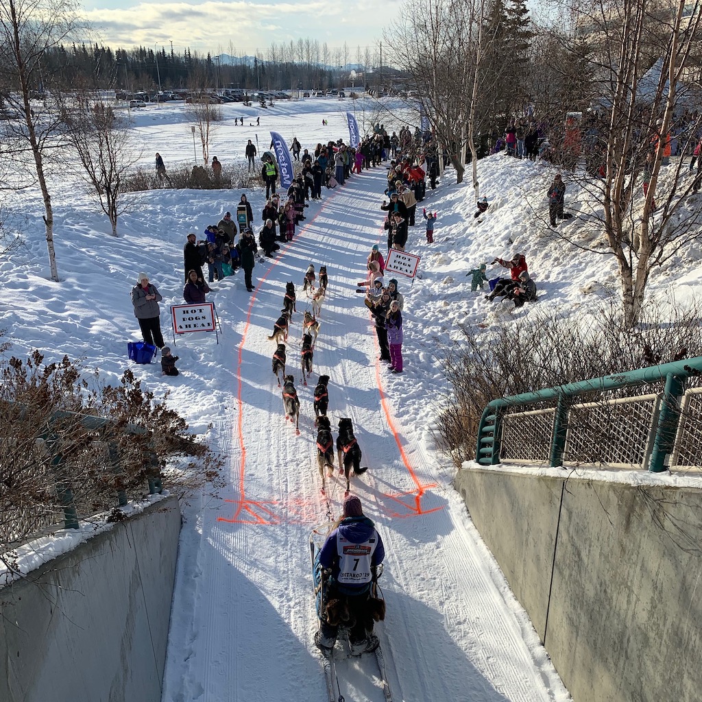 Iditarod ceremonial start